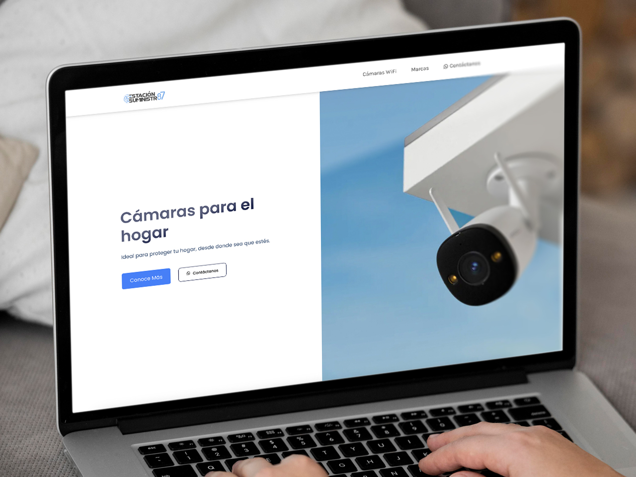 Sitio web ecommerce
